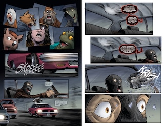 Aperçu du contenu 5_Teenage Mutant Ninja Turtles: Nightwatcher