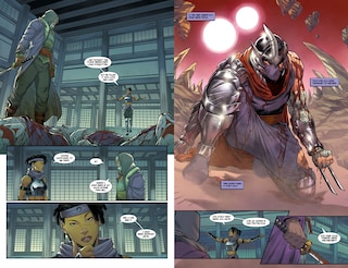 Sample content_Teenage Mutant Ninja Turtles: Shredder, Vol. 1