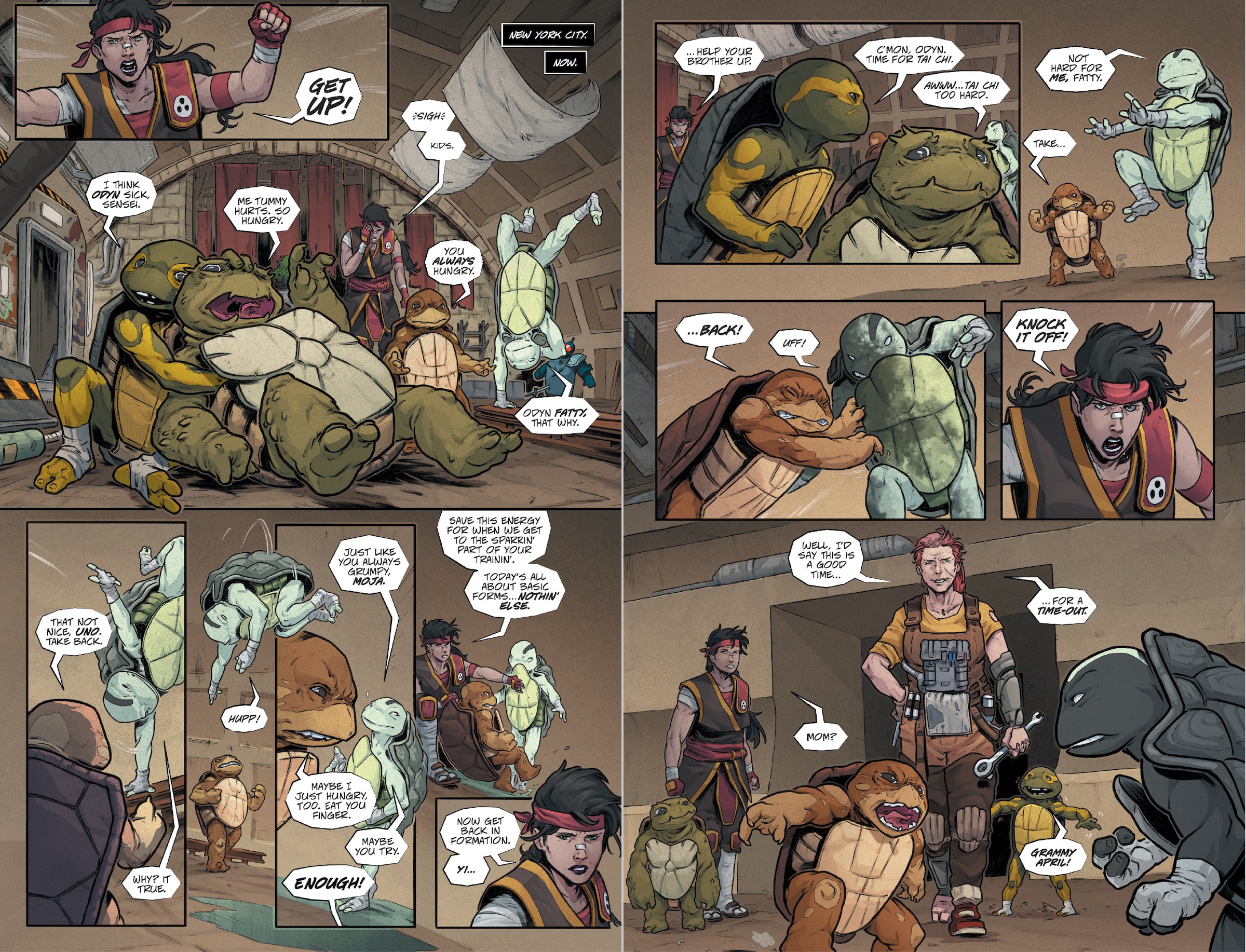 Teenage Mutant Ninja Turtles: The Last Ronin--lost Years