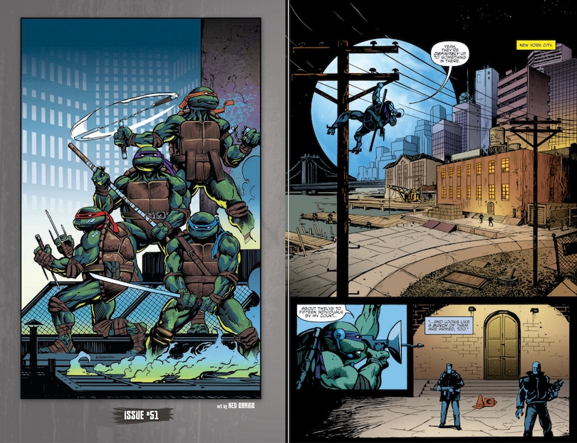 Sample content 2_Teenage Mutant Ninja Turtles: The IDW Collection Volume 7