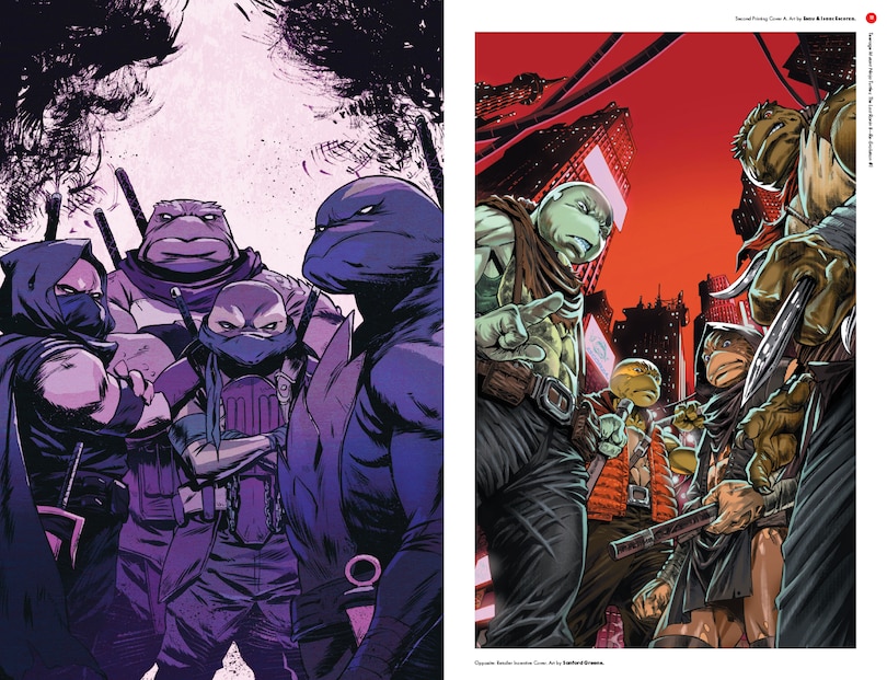 Sample content 2_Teenage Mutant Ninja Turtles: The Last Ronin II: Re-Evolution--The Covers