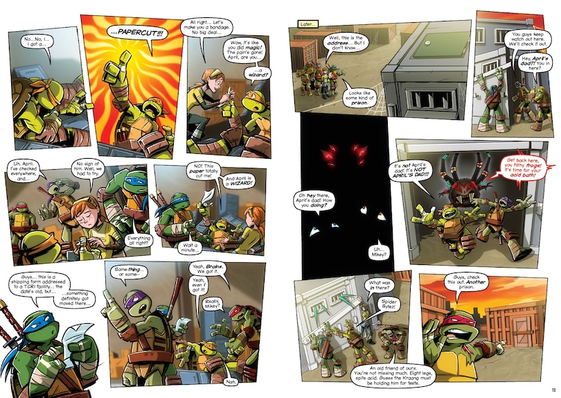 Sample content 2_Teenage Mutant Ninja Turtles: The Booyakasha Books, Vol. 1