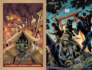 Aperçu du contenu 3_Teenage Mutant Ninja Turtles: The Last Ronin Box Set