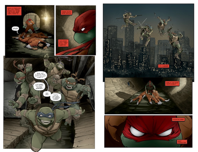 Sample content 4_Teenage Mutant Ninja Turtles, Vol. 1: Return to New York