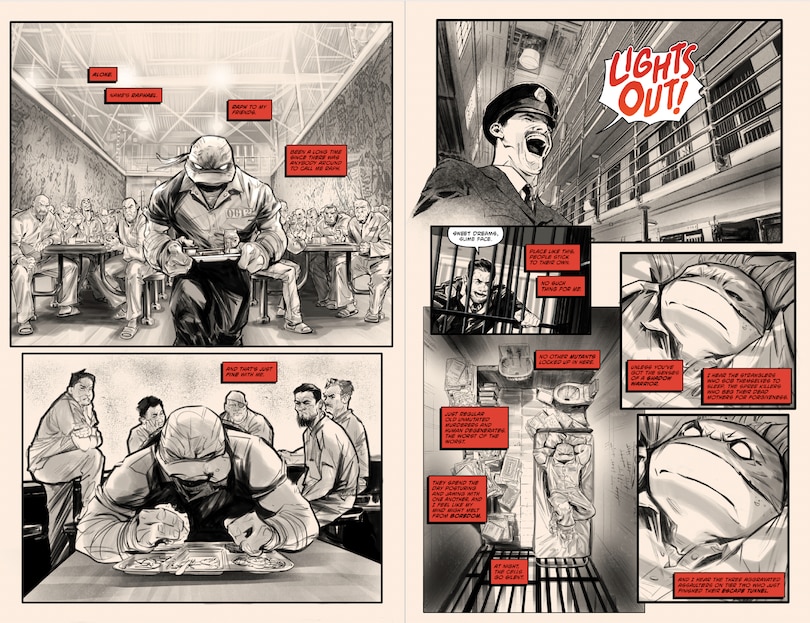 Aperçu du contenu 3_Teenage Mutant Ninja Turtles, Vol. 1: Return to New York—Inked Deluxe Edition