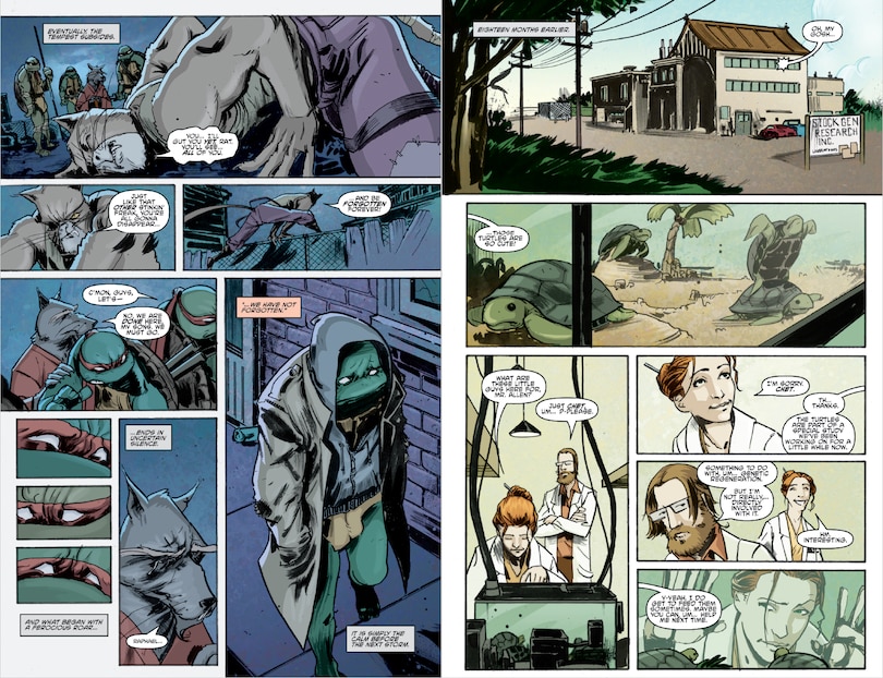 Sample content 2_Teenage Mutant Ninja Turtles: Ongoing Compendium, Vol. 1