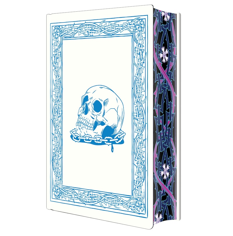 Aper&ccedil;u du contenu 2_Tempest of Wrath and Vengeance: Deluxe Special Edition