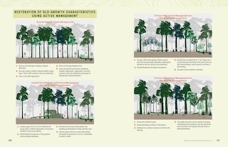 Aper&ccedil;u du contenu_Tending Your Forest