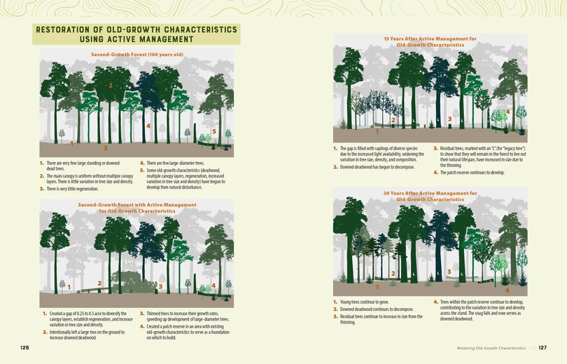 Aper&ccedil;u du contenu_Tending Your Forest