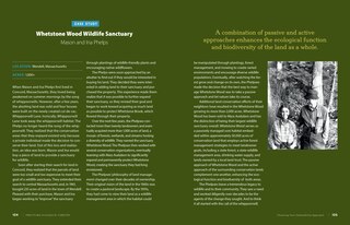 Aper&ccedil;u du contenu 3_Tending Your Forest