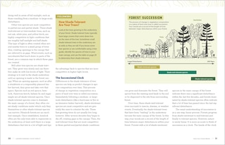 Aper&ccedil;u du contenu 4_Tending Your Forest