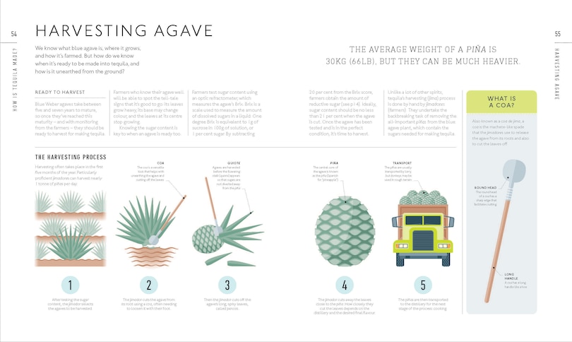 Sample content 3_Tequila: A Tasting Course