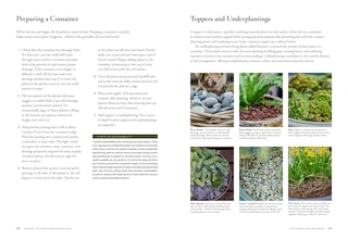 Aper&ccedil;u du contenu_Terrain: The Container Garden Book