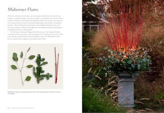 Aper&ccedil;u du contenu 2_Terrain: The Container Garden Book