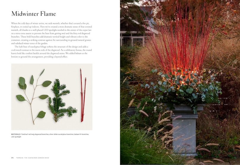 Aper&ccedil;u du contenu 2_Terrain: The Container Garden Book