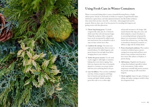 Aper&ccedil;u du contenu 3_Terrain: The Container Garden Book