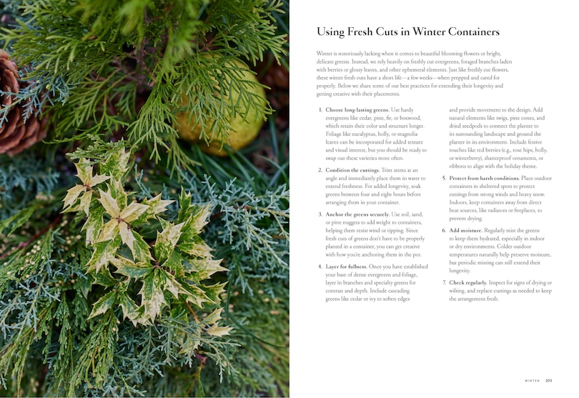 Aper&ccedil;u du contenu 3_Terrain: The Container Garden Book