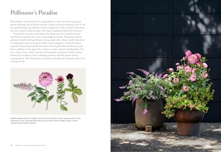 Aper&ccedil;u du contenu 4_Terrain: The Container Garden Book