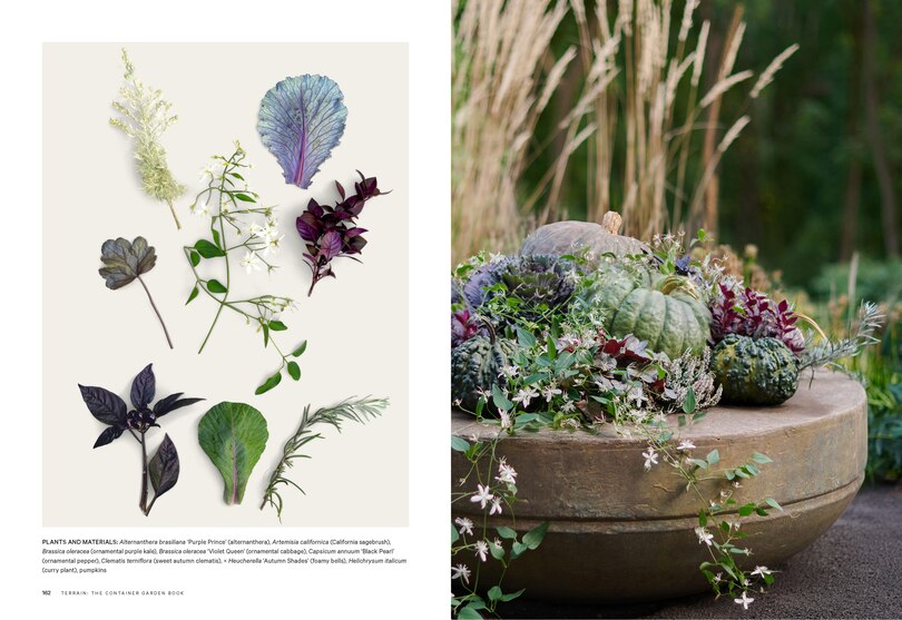 Aper&ccedil;u du contenu 5_Terrain: The Container Garden Book