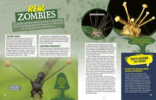 Sample content 2_Terrifying True Tales