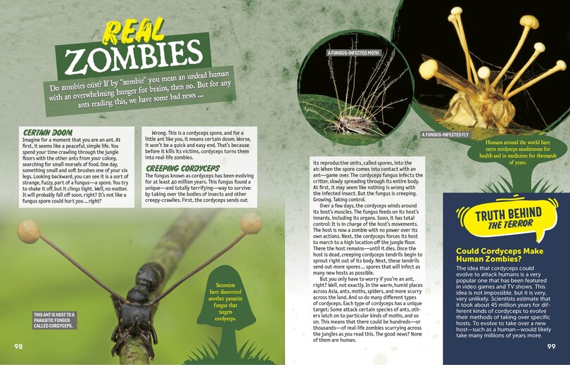 Sample content 2_Terrifying True Tales