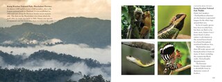 Aperçu du contenu 2_Thailand