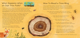 Sample content_Thank You, Old Oak