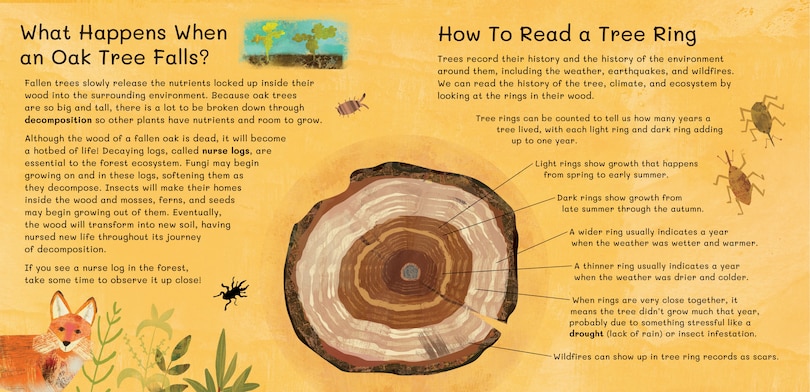 Sample content_Thank You, Old Oak