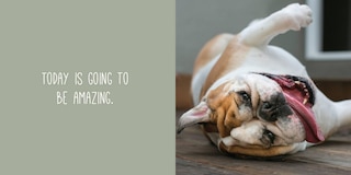 Aper&ccedil;u du contenu_Thanks for Picking Up My Poop