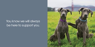 Aper&ccedil;u du contenu 5_Thanks for Picking Up My Poop