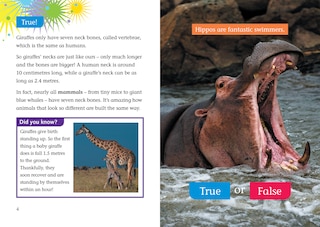 Sample content_That can’t be true?