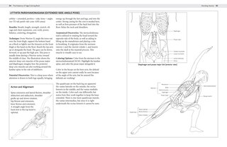 Aperçu du contenu_The Anatomy Of Yoga Coloring Book