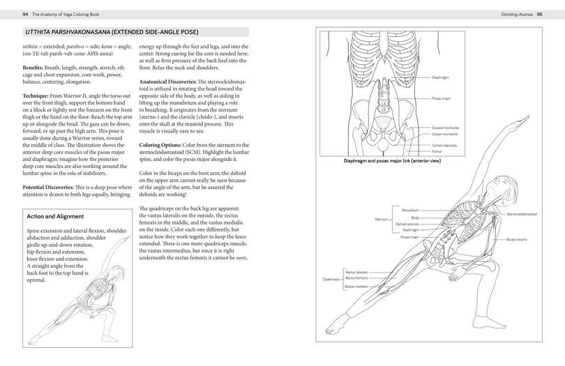Aperçu du contenu_The Anatomy Of Yoga Coloring Book