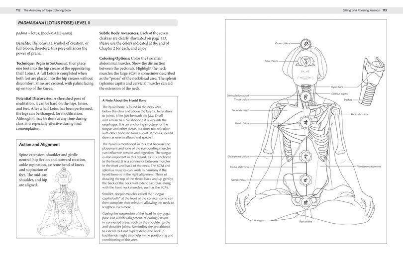 Aperçu du contenu 2_The Anatomy Of Yoga Coloring Book