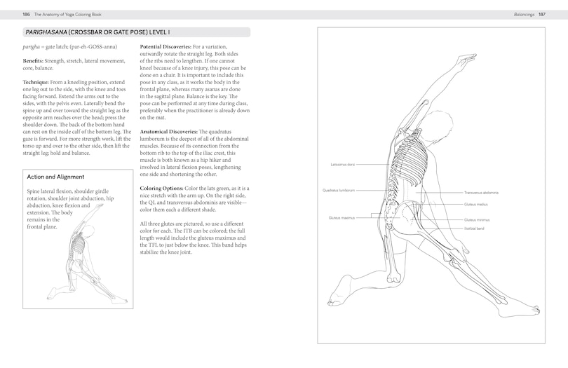 Aperçu du contenu 4_The Anatomy Of Yoga Coloring Book