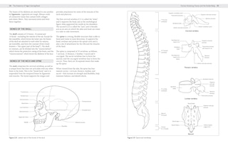 Aperçu du contenu 5_The Anatomy Of Yoga Coloring Book