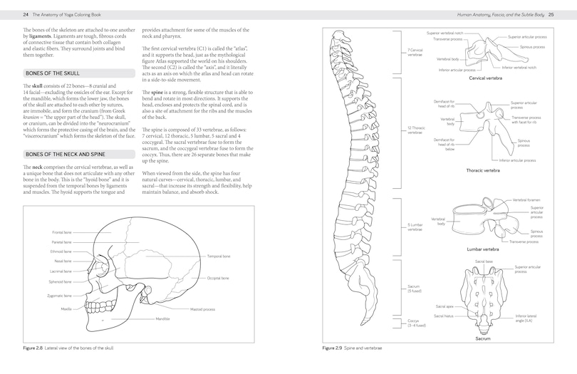 Aperçu du contenu 5_The Anatomy Of Yoga Coloring Book