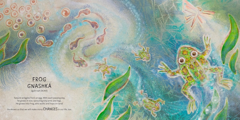 Sample content 2_The Animals Speak: The Lakota Way (Wam&aacute;kashka?&rsquo;iya: Lakh&oacute;l Wich&oacute;h&rsquo;a? Ki?) (A Picture Book)