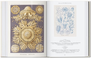 Sample content_The Art and Science of Ernst Haeckel. 45th Ed.