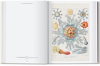Sample content 3_The Art and Science of Ernst Haeckel. 45th Ed.