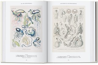 Sample content 4_The Art and Science of Ernst Haeckel. 45th Ed.