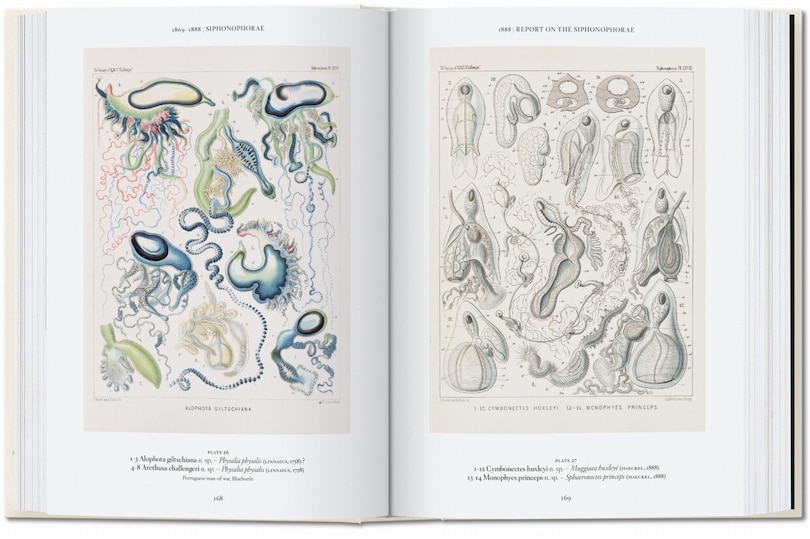 Sample content 4_The Art and Science of Ernst Haeckel. 45th Ed.