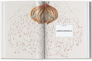 Sample content 5_The Art and Science of Ernst Haeckel. 45th Ed.