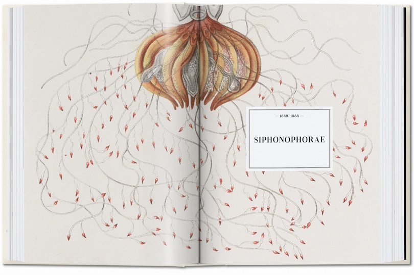 Sample content 5_The Art and Science of Ernst Haeckel. 45th Ed.
