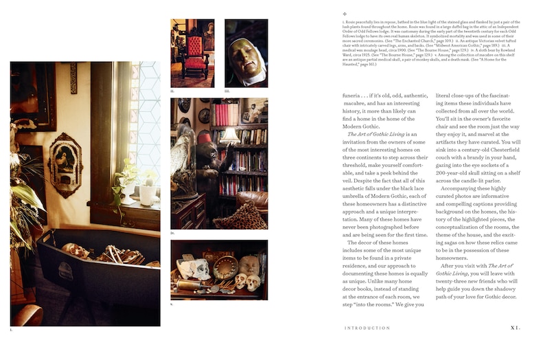 Sample content_The Art of Gothic Living