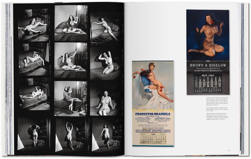 Sample content 5_The Art of Pin-up