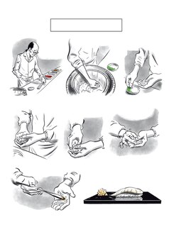 Aper&ccedil;u du contenu 2_The Art of Sushi