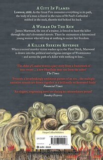 Back cover_The Ashes of London