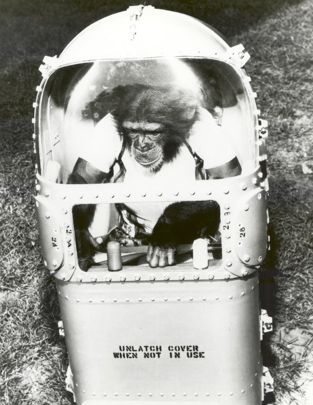 Aper&ccedil;u du contenu_The Astrochimps