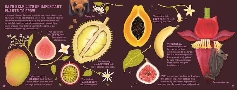 Sample content 5_The Bat Book